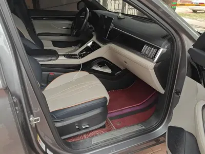 BYD PLUS New Energy