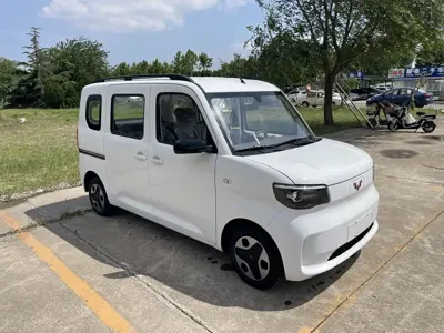 Wuling Zhiguang EV