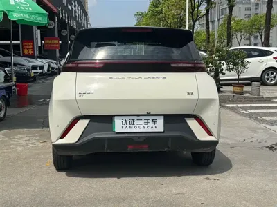 BYD Seagull