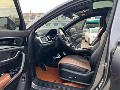 BYD PLUS