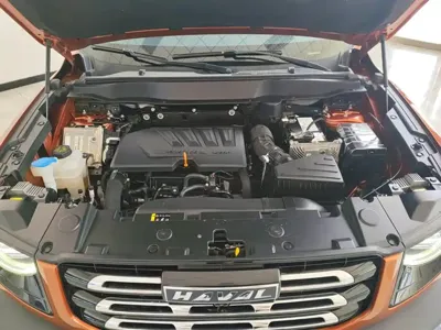 Haval Big Dog