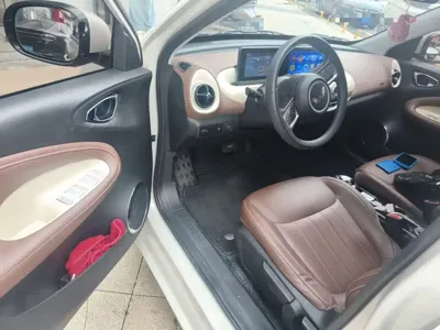 Wuling Bingo