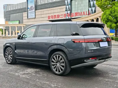 Denza 腾势N9