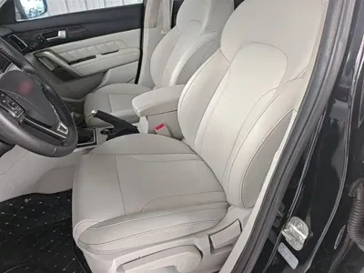 Haval H2