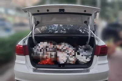 Volkswagen Santana