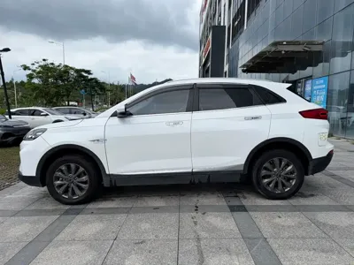 WM Motor EX5