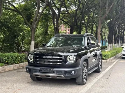 Haval Big Dog