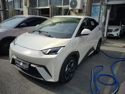 BYD Seagull