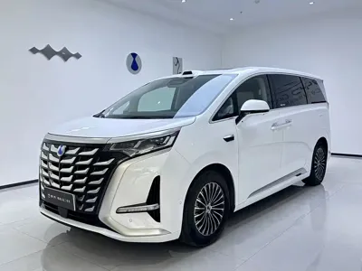 Denza Denza D9