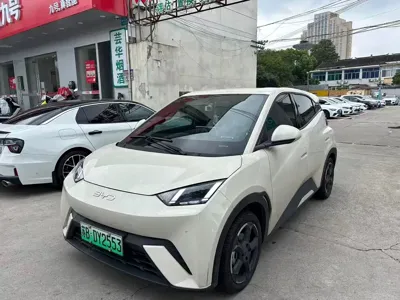 BYD Seagull