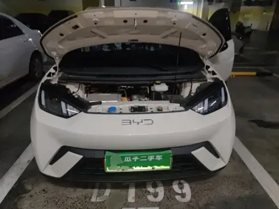 BYD Seagull