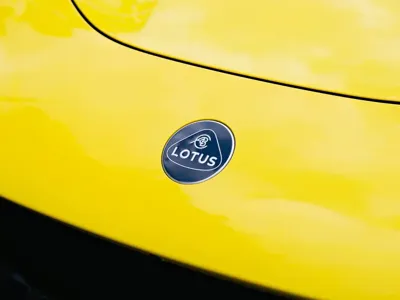 Lotus For Me
