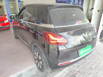 Wuling Bingo