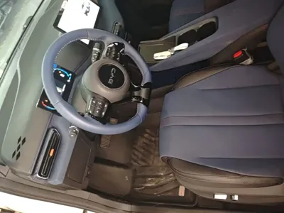 BYD Seagull