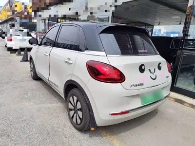 Wuling Bingo