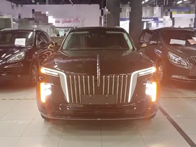 Hongqi Hongqi E-HS9