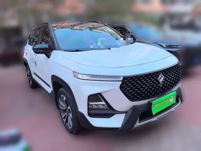 Baojun RS-5