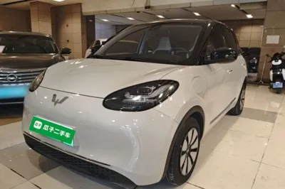 Wuling Bingo