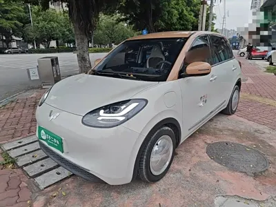 Wuling Bingo
