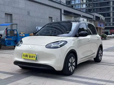 Wuling Bingo
