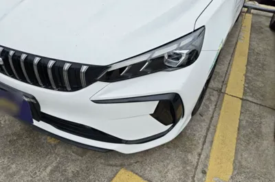 Geely Auto Binray
