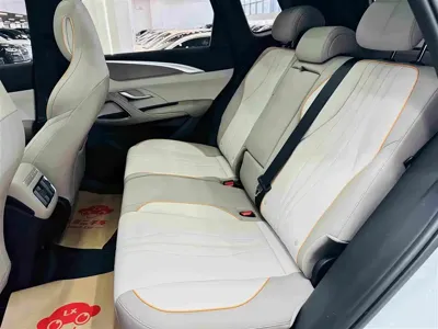 BYD Pro New Energy