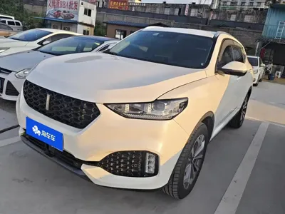 WEY Wey VV6