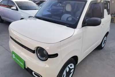 Geely Galaxy Panda