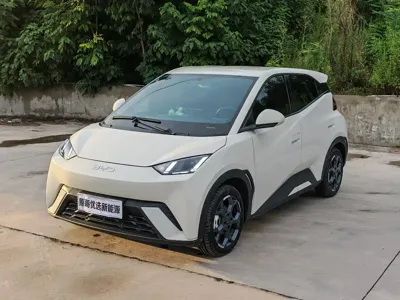 BYD Seagull