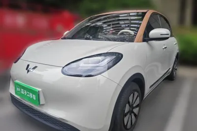 Wuling Bingo