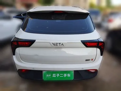NETA V