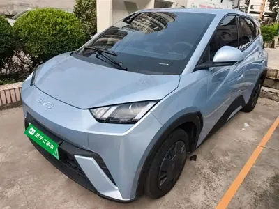 BYD Seagull