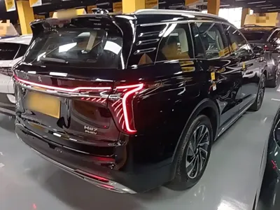 Hongqi Hongqi HS7 PHEV