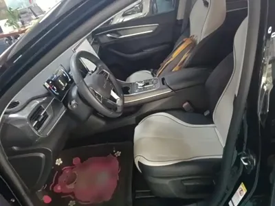 BYD Destroyer 05
