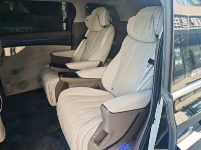 Denza D9