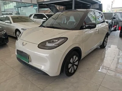Wuling Bingo