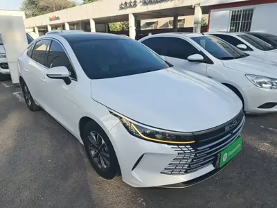 BYD Destroyer 05