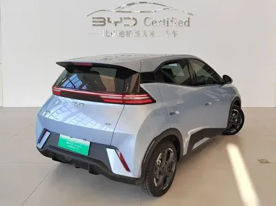 BYD Seagull