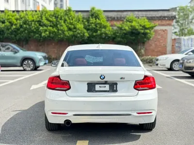BMW 2 Series (Import)
