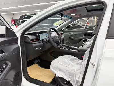Geely Binrui