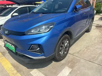 WM Motor EX5