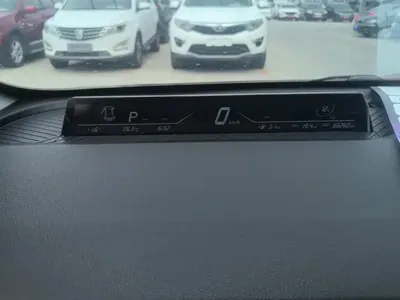NETA Neta V