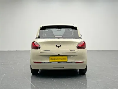 Wuling Bingo