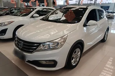 Baojun 310