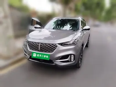 WEY Wey VV6