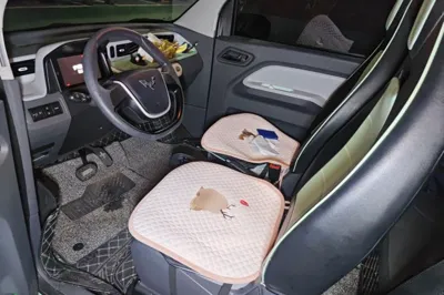 Wuling Hongguang MINIEV
