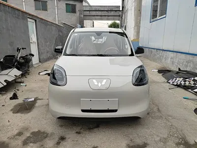 Wuling MINIEV