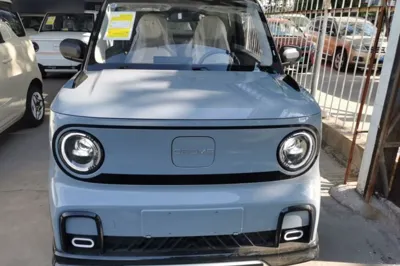 Geely Galaxy Panda