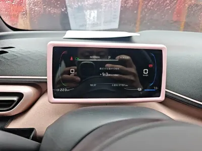 BYD Seagull