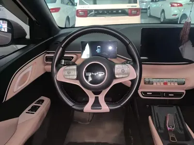 BYD Seagull